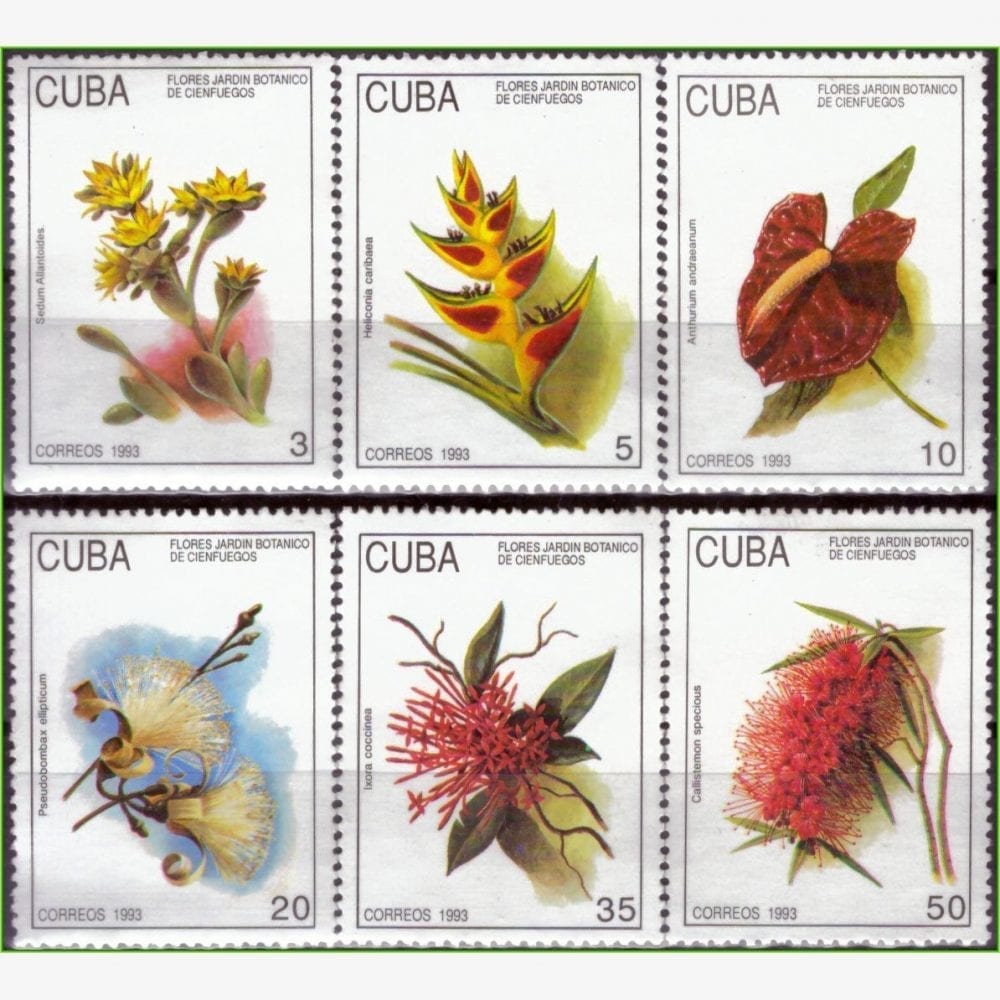 AC12614 | Cuba - Flores do Jardim Botânico