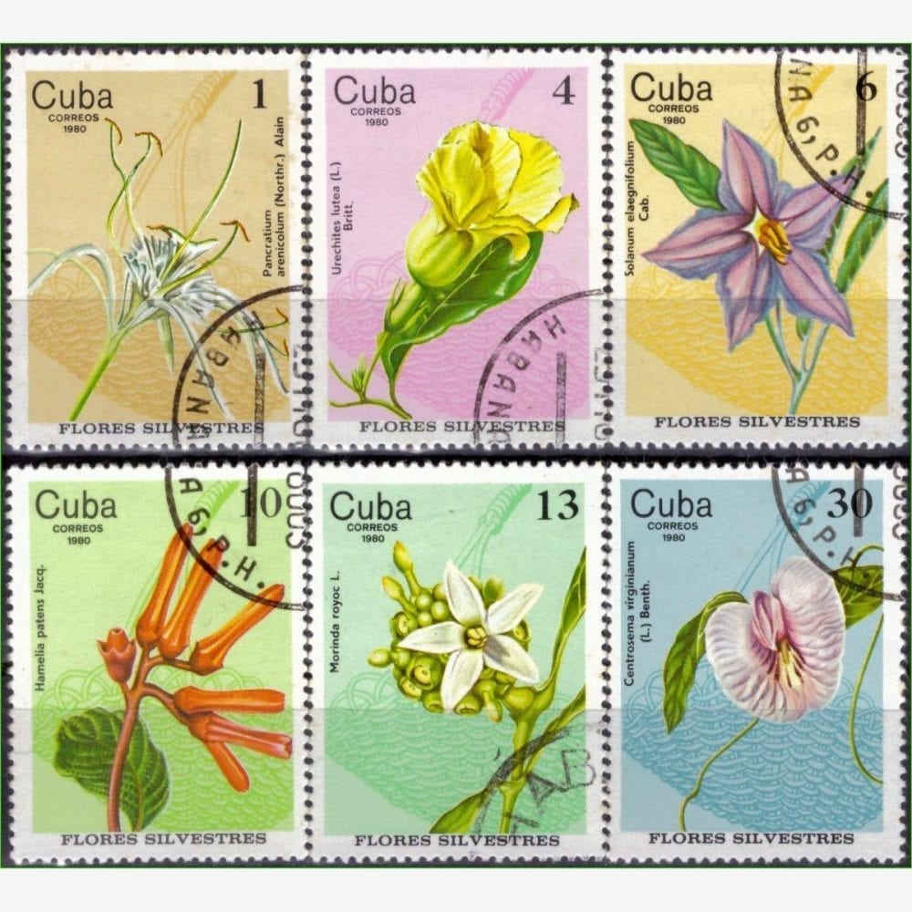 AC13025 | Cuba - Flores silvestres