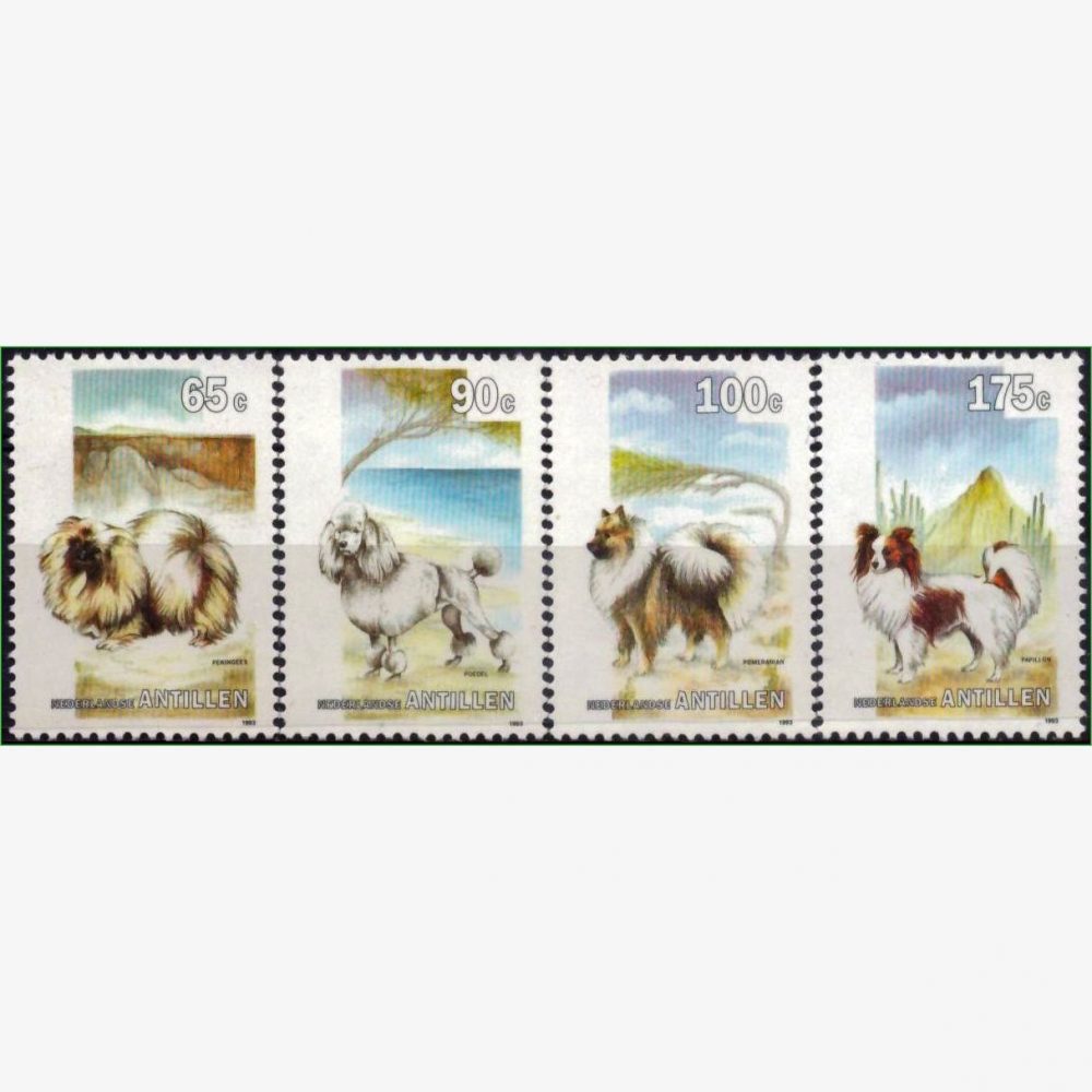 AC15064 | Antilhas Holandesas - Cães
