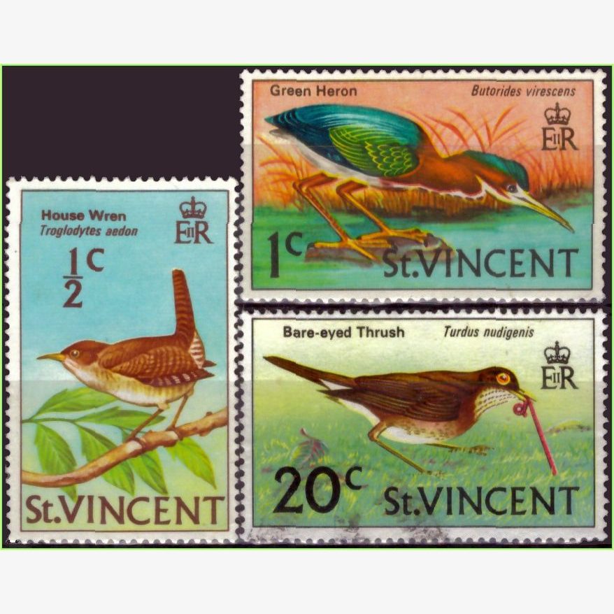 AC15515 | São Vicente - Pássaros
