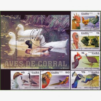 AC15677 | Cuba - Aves domésticas