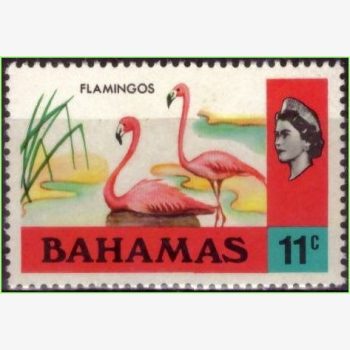 AC15999 | Bahamas - Flamingos
