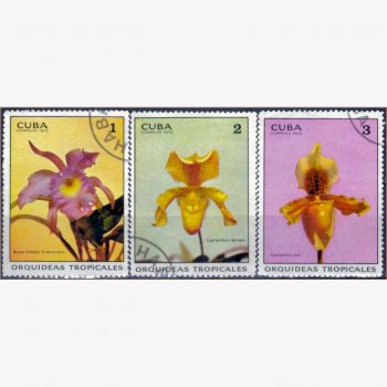 AC17273 | Cuba - Orquídeas tropicais