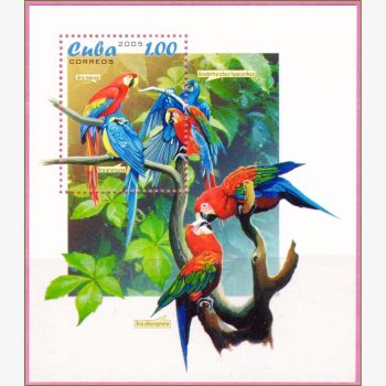 AC17767 | Cuba - Papagaios