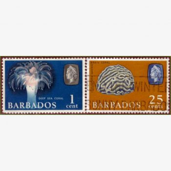 AC18072 | Barbados - Vida marinha