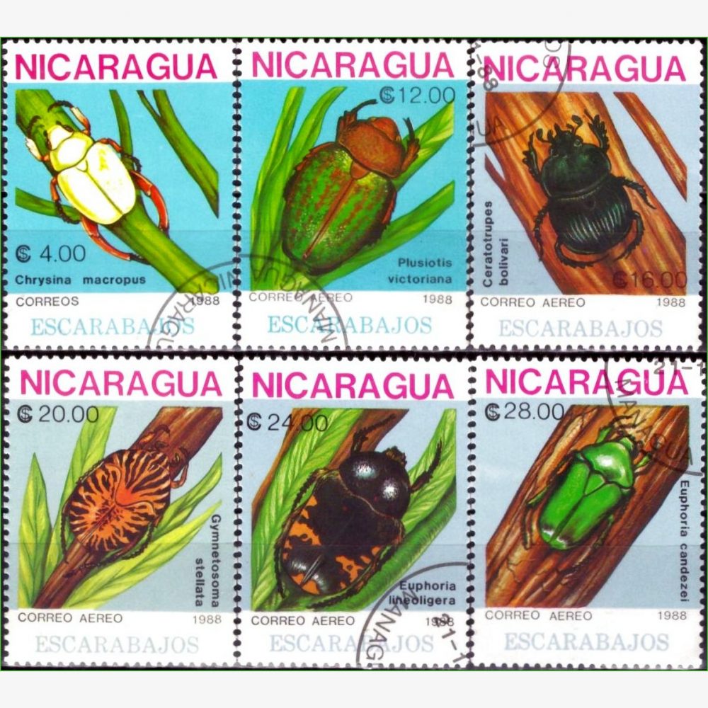 AC18840 | Nicarágua - Insetos - Besouros