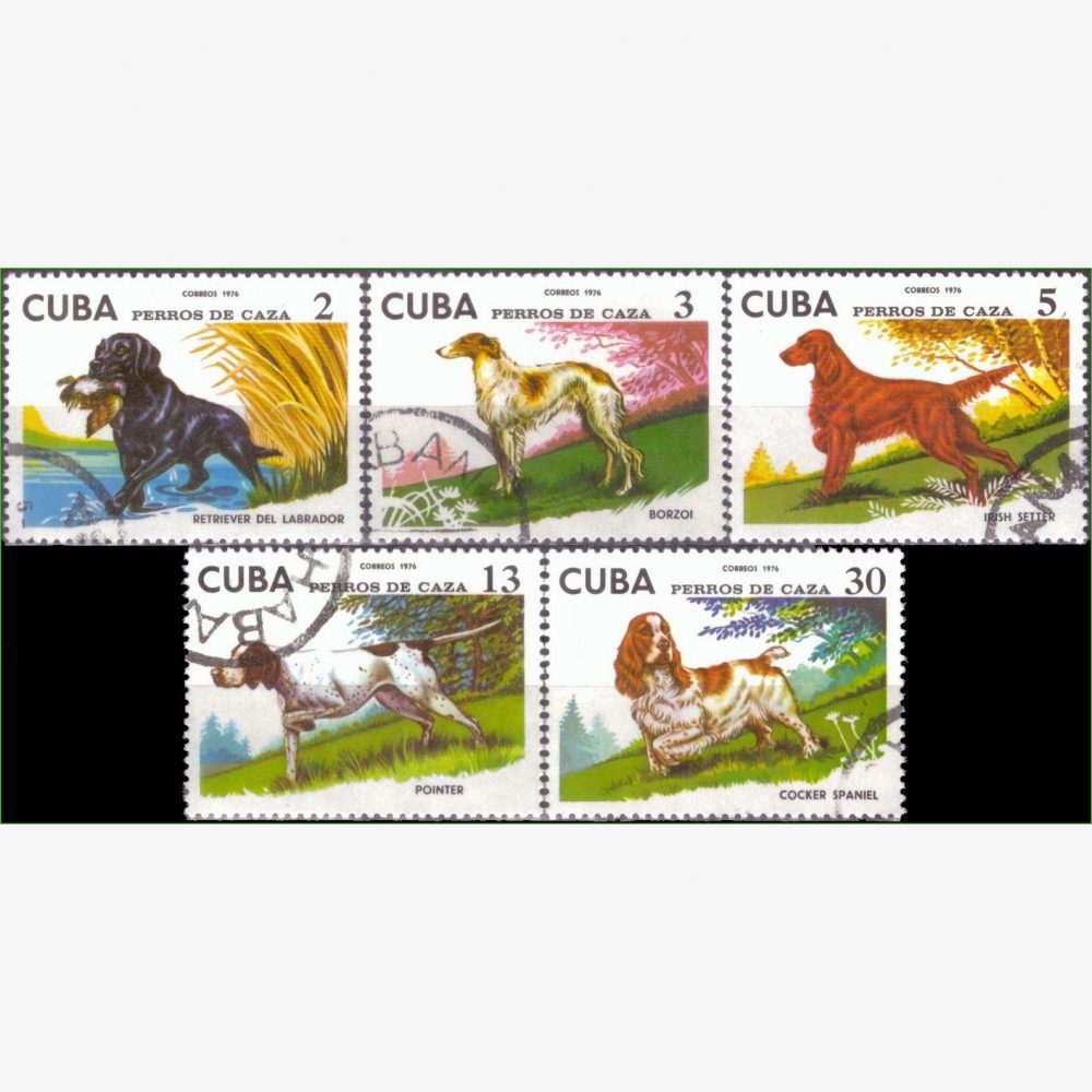 AC18877 | Cuba - Cães