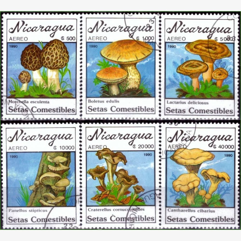 AC18880 | Nicarágua - Cogumelos