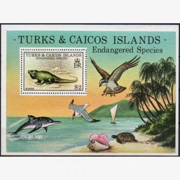 AC7322 | Turks e Caicos - Espécies ameaçadas (Iguana)