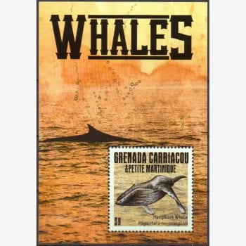 AC7912 | Carriacou e Petite Martinique - Vida marinha (baleias)