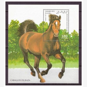 AF10238 | República Saarauí - Cavalos