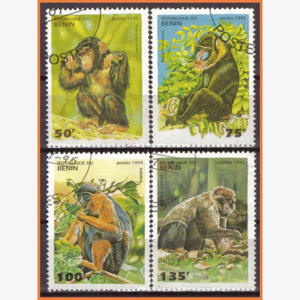 AF11434 | Benin - Primatas