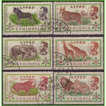 AF11441 | Etiópia - Animais