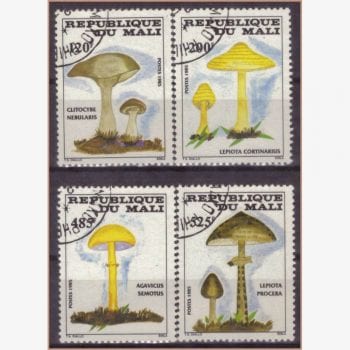 AF11629 | Mali - Cogumelos