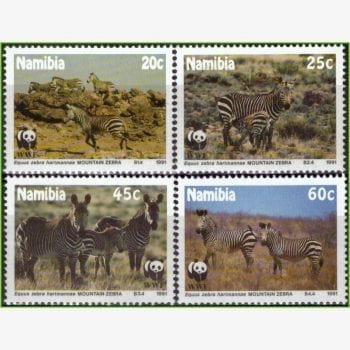 AF12349 | Namíbia - Zebras