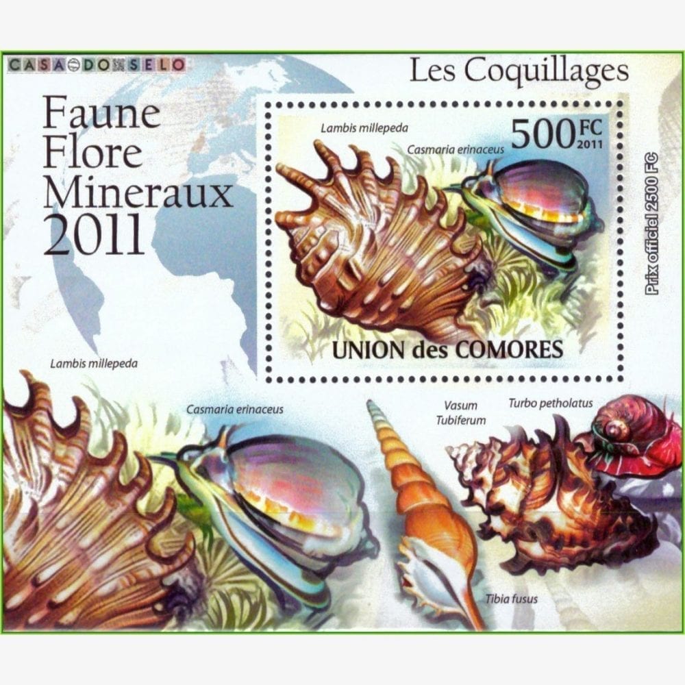 AF12532 | Comores - Conchas marinhas