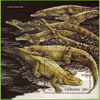 AF13077 | Tanzânia - Crocodilos