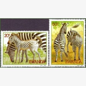 AF13724 | Ruanda - Zebras