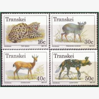 AF13875 | Transkei - Espécies em extinção