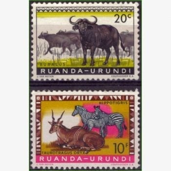 AF14344 | Ruanda-Urundi - Animais selvagens