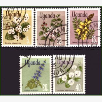 AF14927 | Uganda - Flores