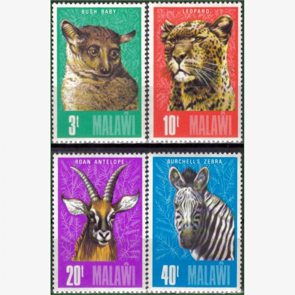 AF14981 | Malawi - Animais