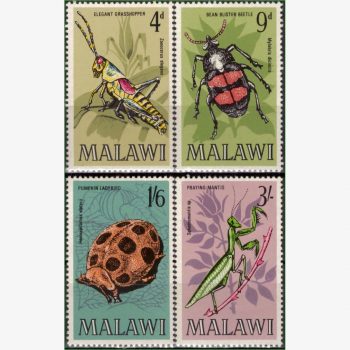 AF15026 | Malawi - Insetos