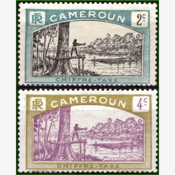 AF15206 | Camarões - Nativo cortando árvore