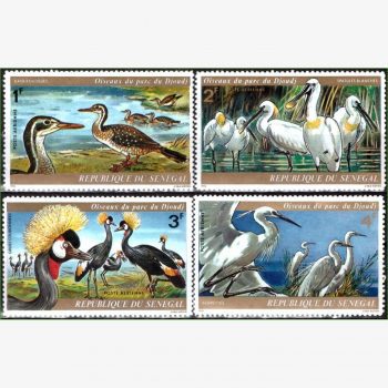 AF16580 | Senegal - Aves do Parque Djoudj