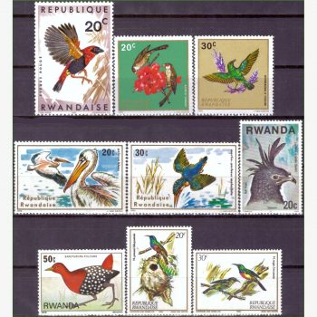 AF16655 | Ruanda - Aves