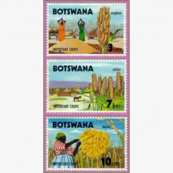 AF17686 | Botswana - Culturas importantes
