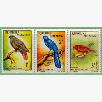 AF17799 | Madagascar - Aves nativas