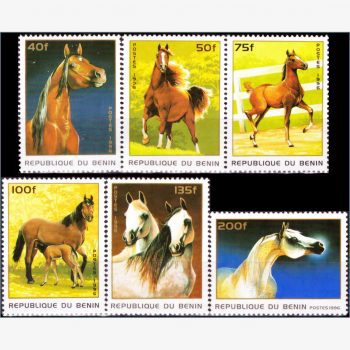 AF17891 | Benin - Cavalos