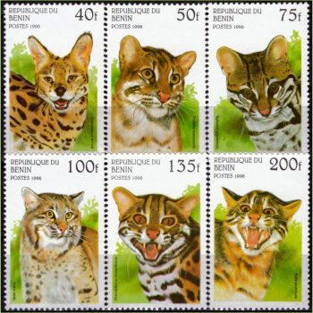 AF18002 | Benin - Gatos selvagens