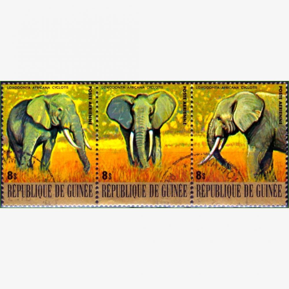 AF18329 | Guiné - Elefante da floresta
