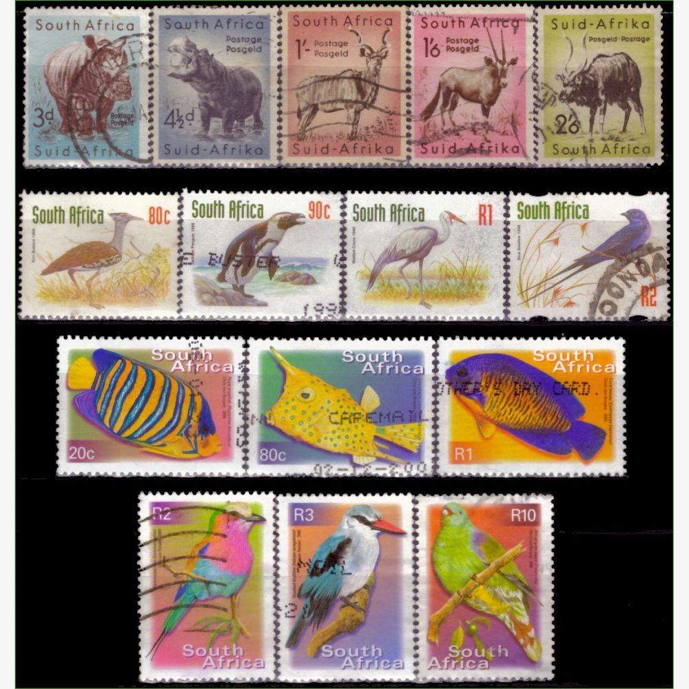 AF18353 | África do Sul - Fauna