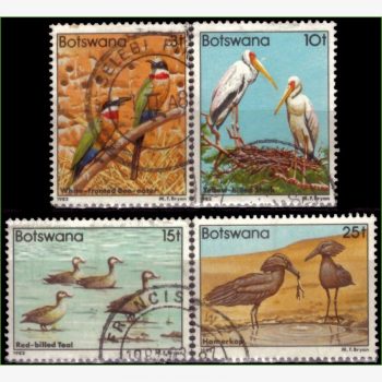 AF18354 | Botswana - Aves