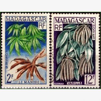 AF18714 | Madagascar - Flora