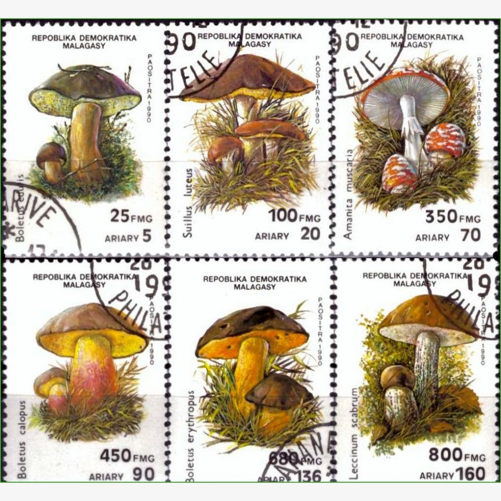 AF18885 | Madagascar - Cogumelos