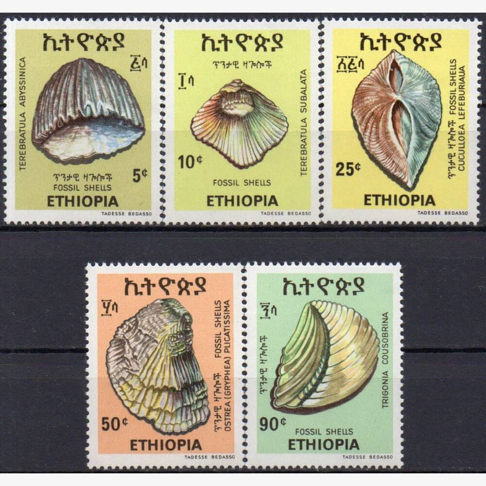 AF6796 | Etiópia - Fósseis de conchas