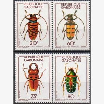AF7425 | Gabão - Insetos (coleópteros)