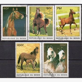 AF7625 | Benin - Cavalos