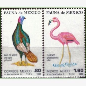 AN13474 | México - Aves
