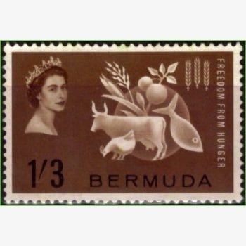 AN13924 | Bermuda - FAO