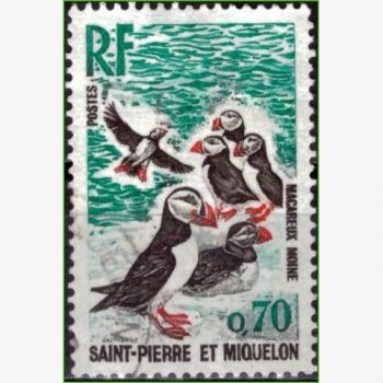 AN14756 | Saint Pierre et Miquelon - Papagaio do mar