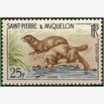 AN16047 | Saint Pierre et Miquelon (França) - Martas