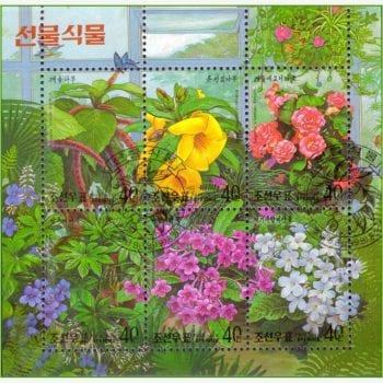 AS12094 | Coreia do Norte - Flores para presente