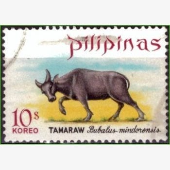 AS13736 | Filipinas - Búfalo selvagem