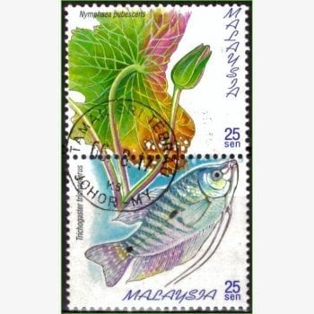 AS13817 | Malásia - Peixes de água doce