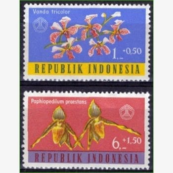 AS14222 | Indonésia - Orquídeas